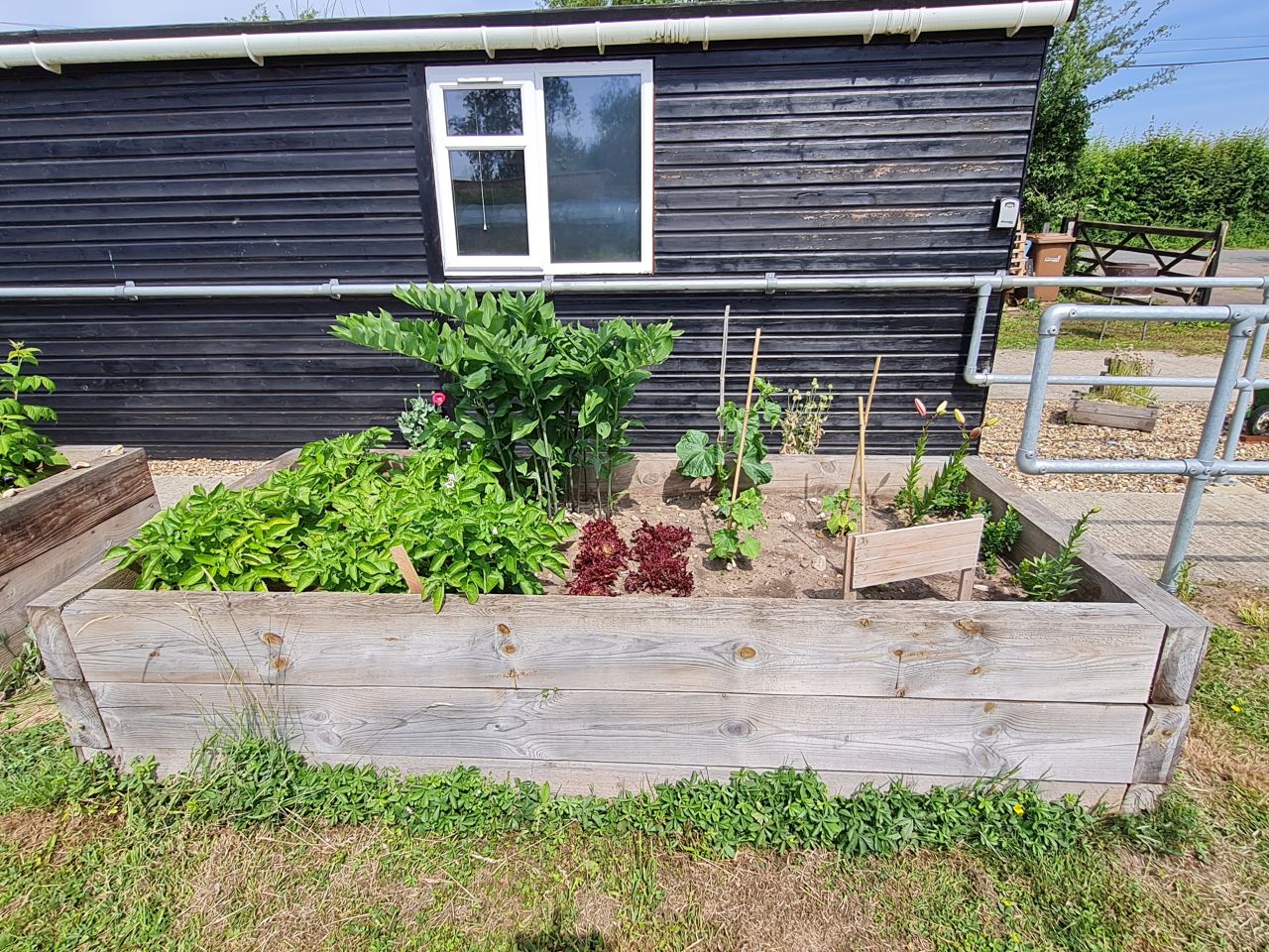 2025 04 Raised Beds