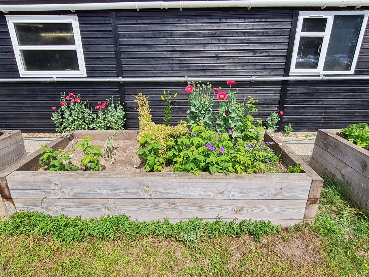 2025 05 Raised Beds