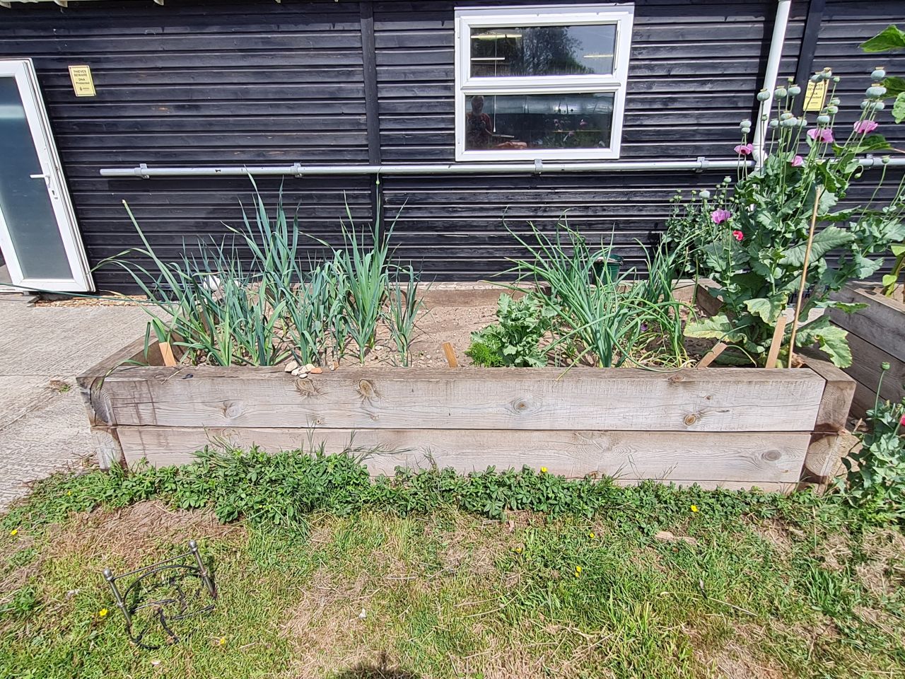 2025 07 Raised Beds